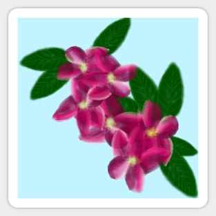 Frangipani flower pattern Sticker